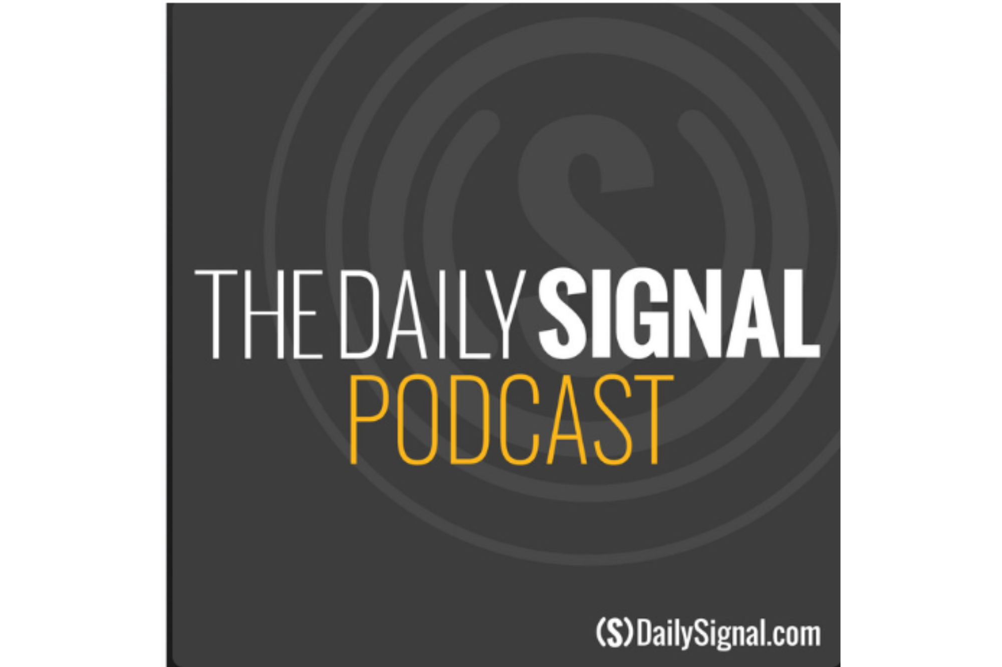 Strive Offers Investors Alternative to ESG-Driven Companies